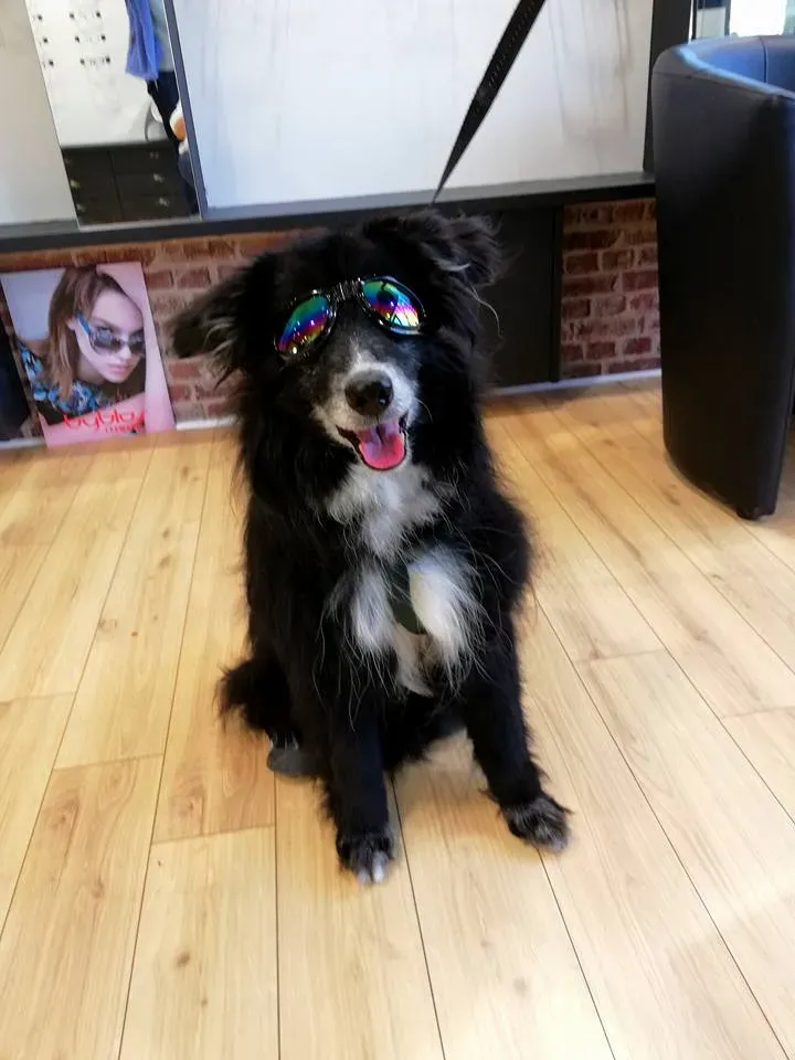 Des lunettes pour pratiquer au mieux vos sports